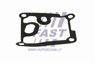 FT38801 FAST Прокладка, масляный радиатор