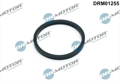 DRM01255 Dr.Motor Automotive Прокладка, масляный радиатор