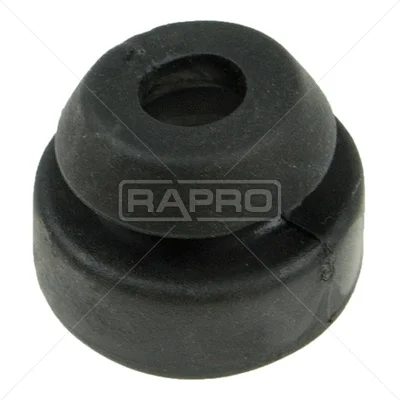 R51665 RAPRO Подвеска, радиатор