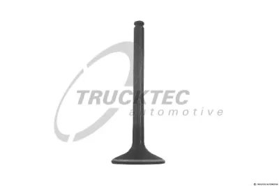 Впускной клапан TRUCKTEC 02.12.139