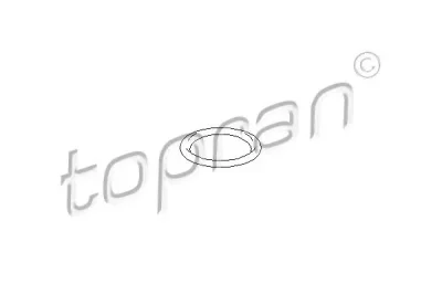 Уплотнительное кольцо TOPRAN 113 281