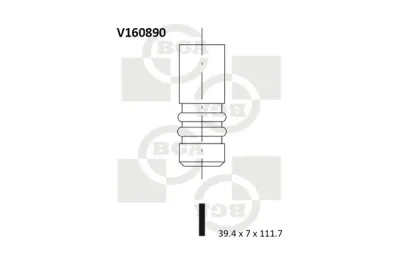 V160890 BGA Впускной клапан