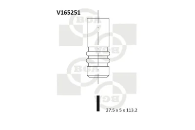 V165251 BGA Клапан выпускной