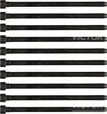 Комплект болтов головки цилидра VICTOR REINZ 14-35738-01