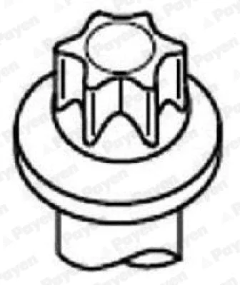 HBS119 PAYEN Комплект болтов головки цилидра