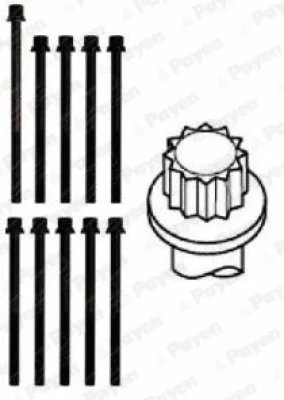 HBS284 PAYEN Комплект болтов головки цилидра