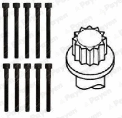 Комплект болтов головки цилидра PAYEN HBS306