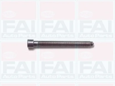 B1006 FAI AUTOPARTS Комплект болтов головки цилидра