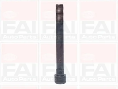 B1046 FAI AUTOPARTS Комплект болтов головки цилидра