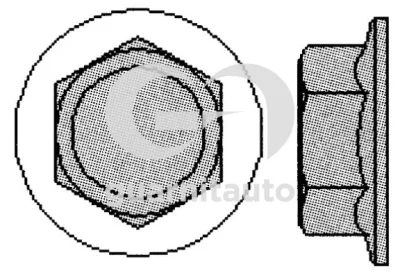 700503-1010 GUARNITAUTO Комплект болтов головки цилидра