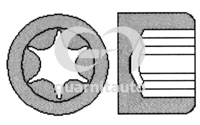 702503-1010 GUARNITAUTO Комплект болтов головки цилидра