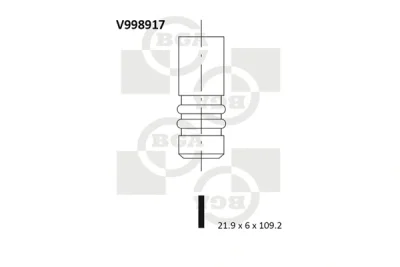 V998917 BGA Выпускной клапан