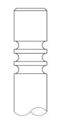 1615.239 INTERVALVES Выпускной клапан