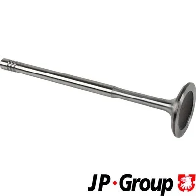 Впускной клапан JP GROUP 1111301100