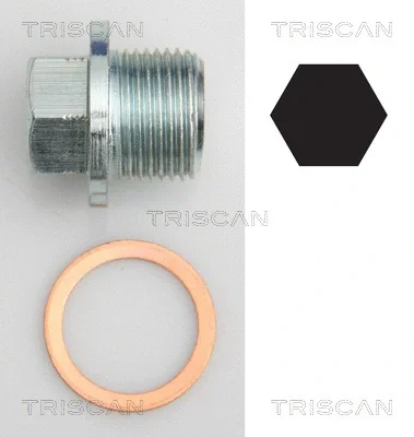 9500 1022 TRISCAN Резьбовая пробка, масляный поддон