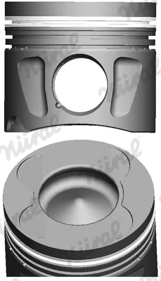 Поршень NÜRAL 87-427400-10