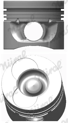 Поршень NÜRAL 87-743107-00