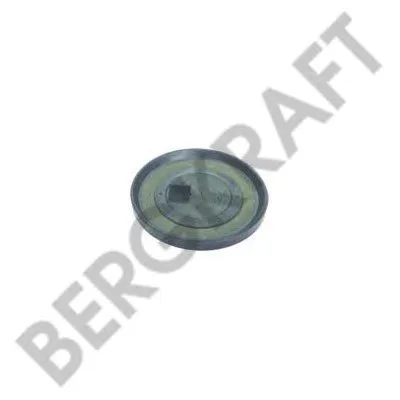 BK1617701AS BERGKRAFT Ремкомплект тормозного суппорта