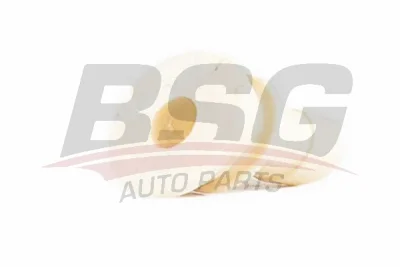 BSG 65-465-004 BSG Ремкомплект, рычаг переключения