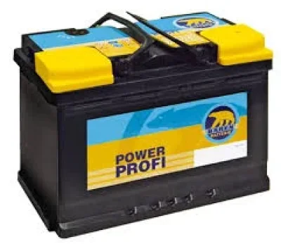 Profi BÄREN BATTERIE 7903220