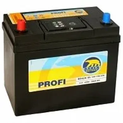 Profi BÄREN BATTERIE 7903223