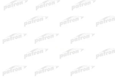 Сетка топливного насоса PATRON HS155101