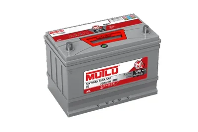 D31.90.072.D MUTLU BATTERY Стартерная аккумуляторная батарея