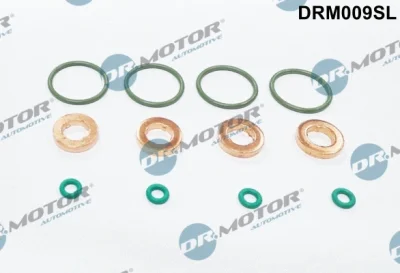 DRM009SL Dr.Motor Automotive Комплект прокладок, форсунка