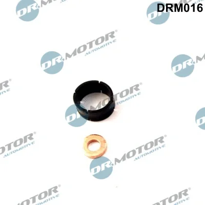 DRM016 Dr.Motor Automotive Комплект прокладок, форсунка