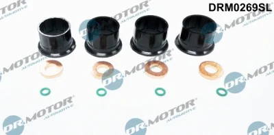 DRM0269SL Dr.Motor Automotive Комплект прокладок, форсунка