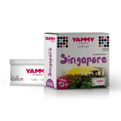 Ароматизатор меловой сити, баночка, аромат 'singapore', корея YAMMY CS105