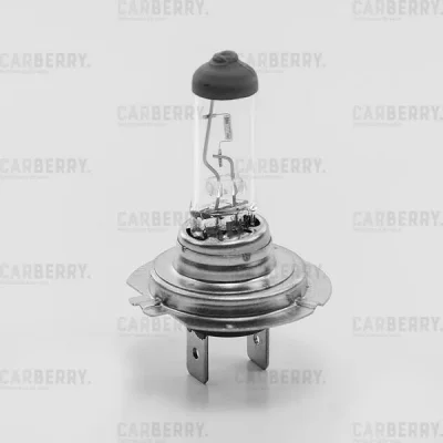 Лампа галогенная Н7 12V (55W) Day&Night (стандартные характеристики) CARBERRY 31CA13