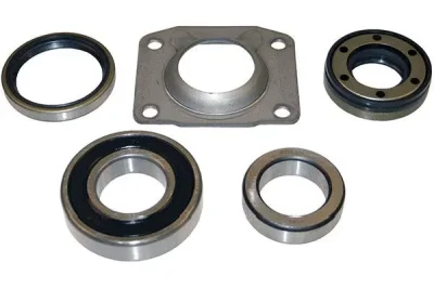 WBK-5514 KAVO PARTS Комплект подшипника ступицы колеса