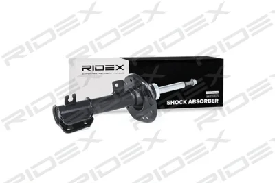 854S0290 RIDEX Амортизатор