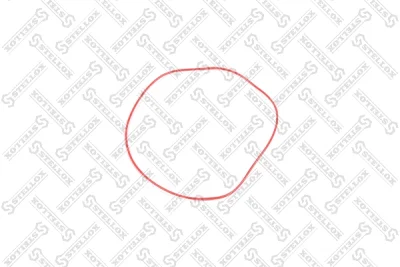 Уплотнительное кольцо, гильза цилиндра STELLOX 11-25436-SX