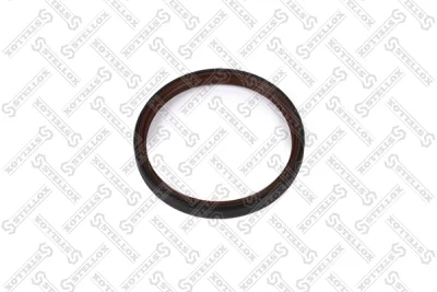 Уплотняющее кольцо, коленчатый вал STELLOX 34-00036-SX