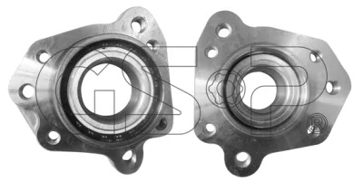 9239004 GSP Комплект подшипника ступицы колеса