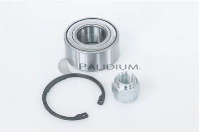 PAL6-1025 ASHUKI by Palidium Комплект подшипника ступицы колеса