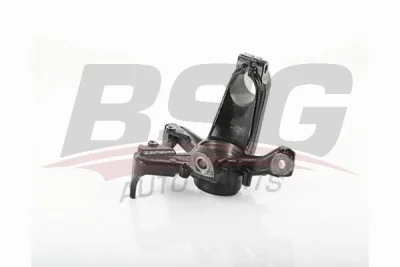 BSG 90-330-023 BSG Подвеска, корпус колесного подшипника