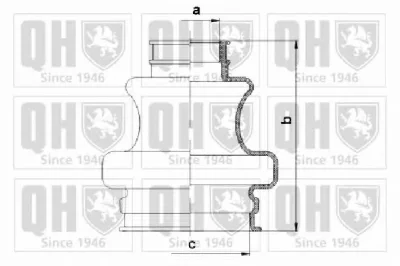 QJB1081 QUINTON HAZELL Пыльник шруса