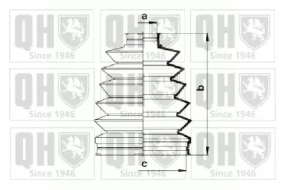 QJB900 QUINTON HAZELL Пыльник шруса