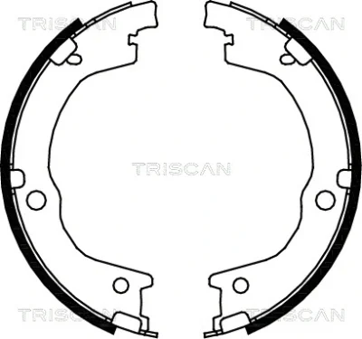 8100 18006 TRISCAN Комплект тормозных колодок