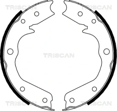 Комплект тормозных колодок, стояночная тормозная система TRISCAN 8100 24002