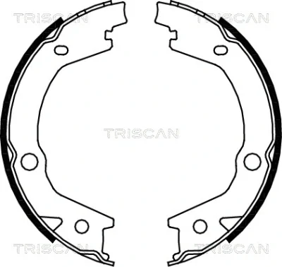 8100 43020 TRISCAN Комплект тормозных колодок, стояночная тормозная система