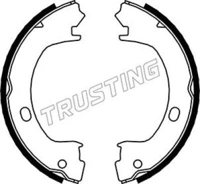 Комплект тормозных колодок, стояночная тормозная система TRUSTING 023.006