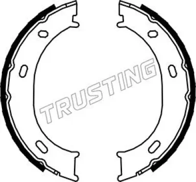 Комплект тормозных колодок, стояночная тормозная система TRUSTING 052.126