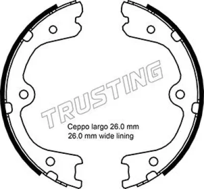 Комплект тормозных колодок, стояночная тормозная система TRUSTING 067.201