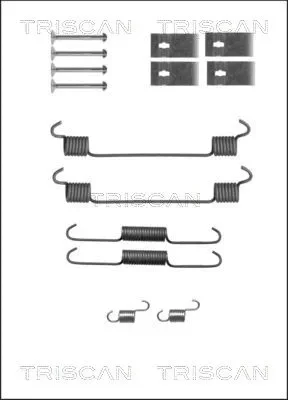 8105 692003 TRISCAN Комплектующие, тормозная колодка