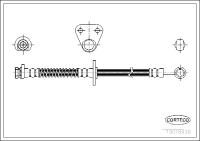19018938 CORTECO Тормозной шланг