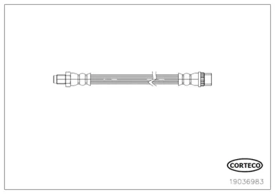 19036983 CORTECO Тормозной шланг